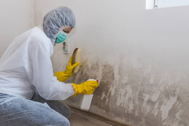 Best Crawl Space Mold Removal  in Linthicum, MD