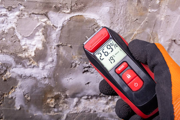 Professional Mold Removal in Linthicum, MD