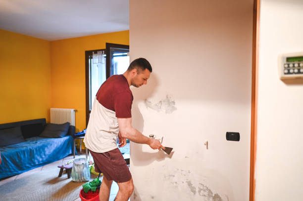 Best Mold Removal Process  in Linthicum, MD
